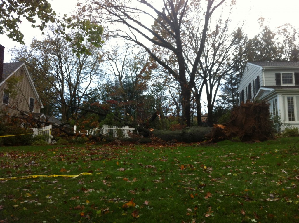 Hurricane Sandy Destruction 12